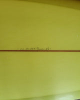 Gato Heroi 6”4 Space Roach