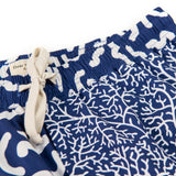 Coral Brains Trunks