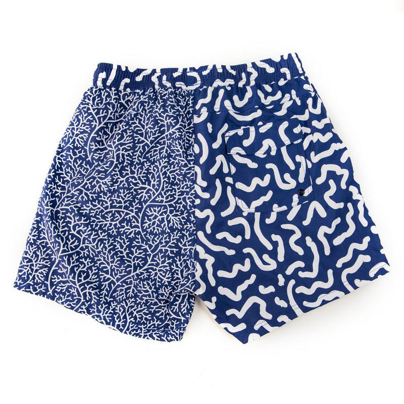 Coral Brains Trunks